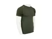 689461698654985-baselayer-olive-3.webp